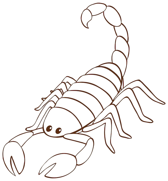 Skorpion kolorowanki